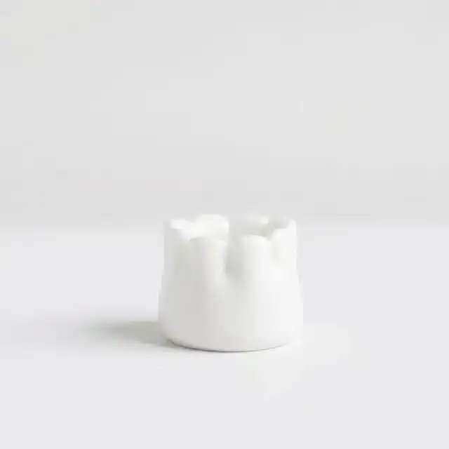 Dental crowns and bridges for restoring damaged teeth in Kochi